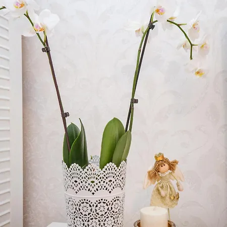 Apartman Perla Dubrovnik