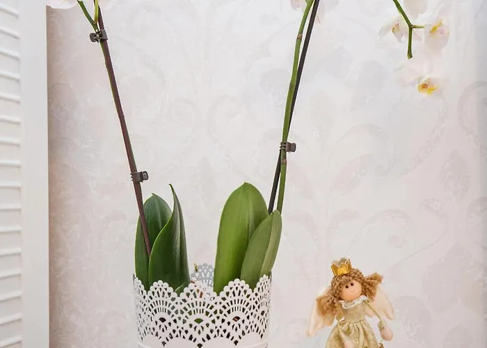 شقة Perla دوبروفينك